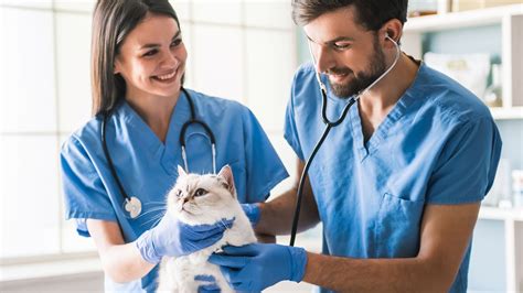 Veterinary Health Care