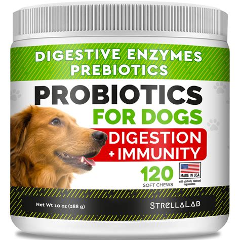 Veterinary Probiotics For Dogs