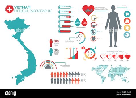 Vietnam Health Statistics