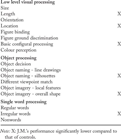 Visual Processing Assessment