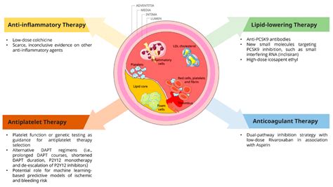 Webinar Holistic Care In Chronic Coronary Syndrome Evolving Strategies From Diagnosis To Treatment Fakultas Kedokteran Universitas Airlangga