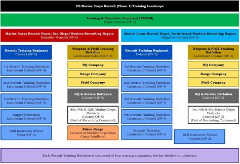 Week 4 Marine Boot Camp