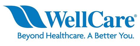 Wellcare Home Health Providers