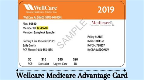 Wellcare Prescription Drug Plan