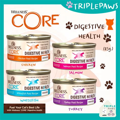 Wellnes Core Digestive Health Grain Free Natural Wet Cat Food