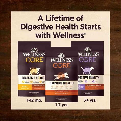 Wellness Core Digestive Health Senior