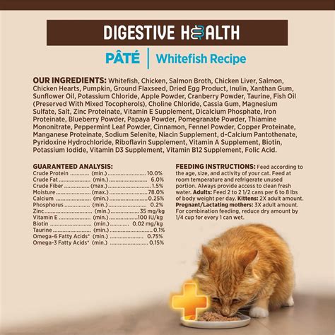 Wellness Core Digestive Health Whitefish Pate Wet Cat Food 3 Oz Case