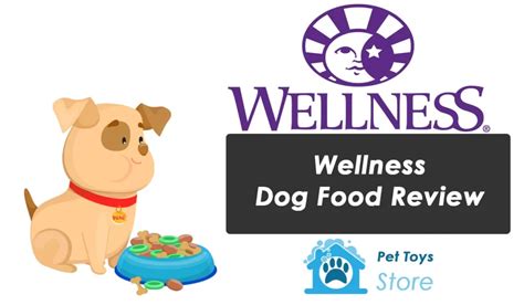 Wellness Dog Food Review 2024