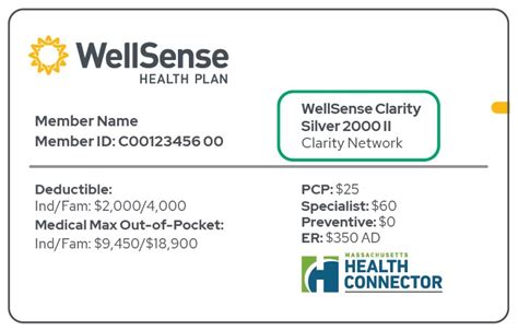 5 Ways Wellsense Supports NH DHHS