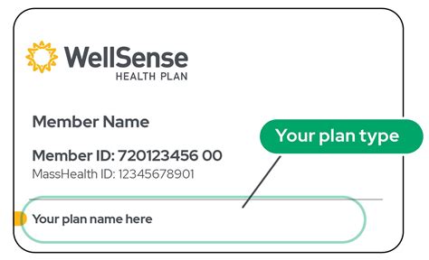 Wellsense Nh Phone Number