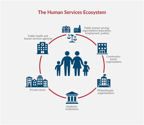 What Are Human Services Organizations