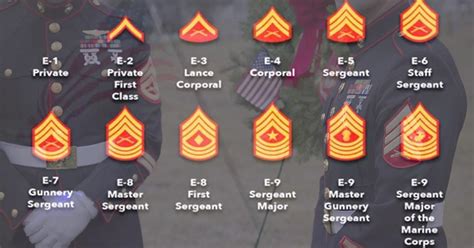 Marine Ranks List