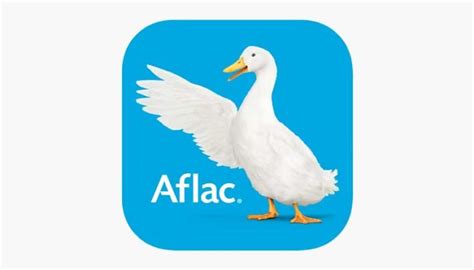 What Does Aflac Cover