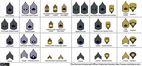 What Is Army Specialist Rank