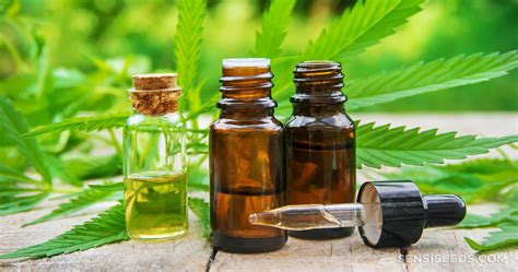 What Is Cannabis Tincture