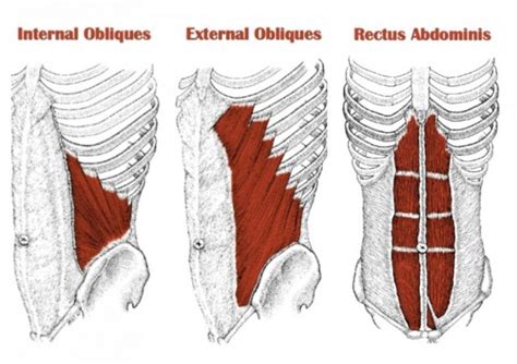 What Is Oblique Striation