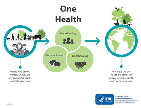 What Is One Health One Health Is An Approach That Recognizes The Interconnected Health Of People Animals And Our Shared Environment At The One Health Trust We Help Tackle Public And Global