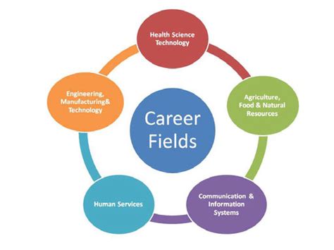 What S A Career Field