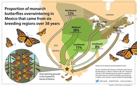 Where Are Monarch Butterflies Found