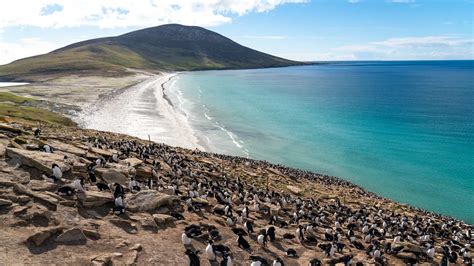 Where Are The Falkland Islands