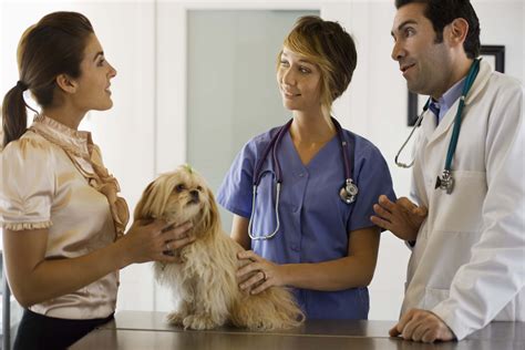 Veterinarians Work Options