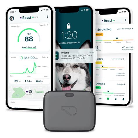 Whistle Go Explore Dog Gps Tracking Device And Pet Health