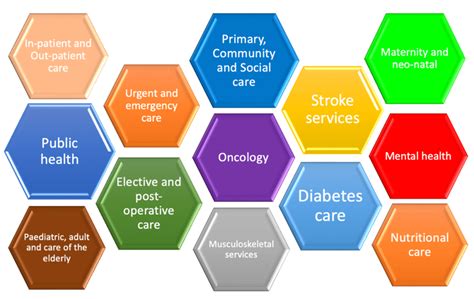 Who Are The Allied Health Professions Ihscm