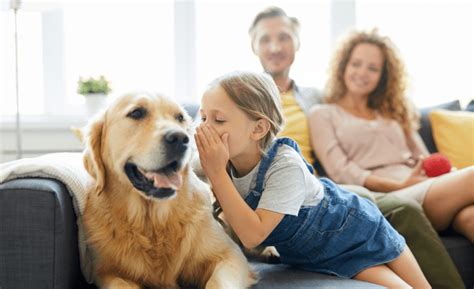 Why These 6 Dog Breeds Are Best For Family With Autism