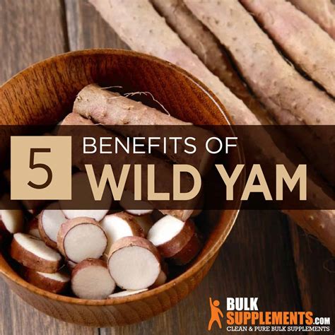 Wild Yam Side Effects Men