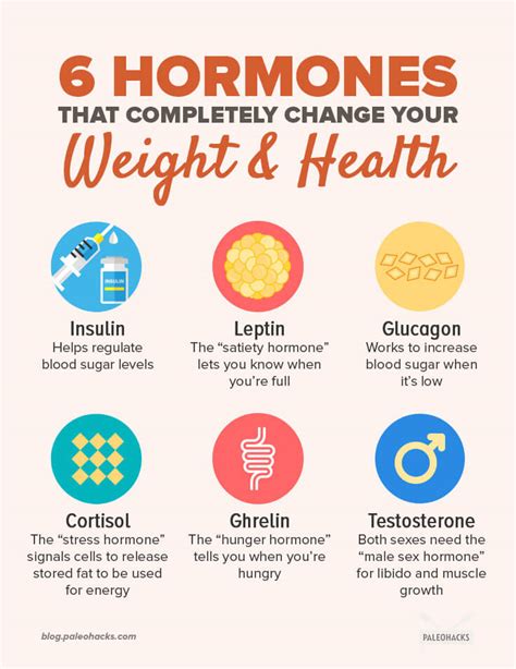 Women 39 S Hormones And Exercise