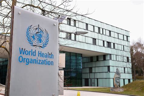 World Health Organization Who Careers