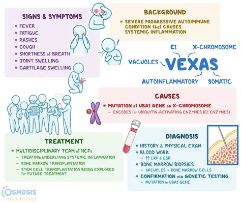 X Linked Autoimmune Disease