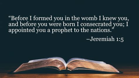 Your Daily Bible Verses Jeremiah 1 5 Integrated Catholic Life